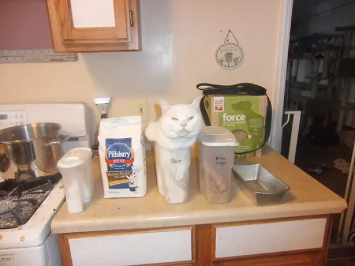 If I Fits, I Sits