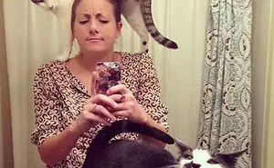 187 Cats That Don't Care About Your Personal Space