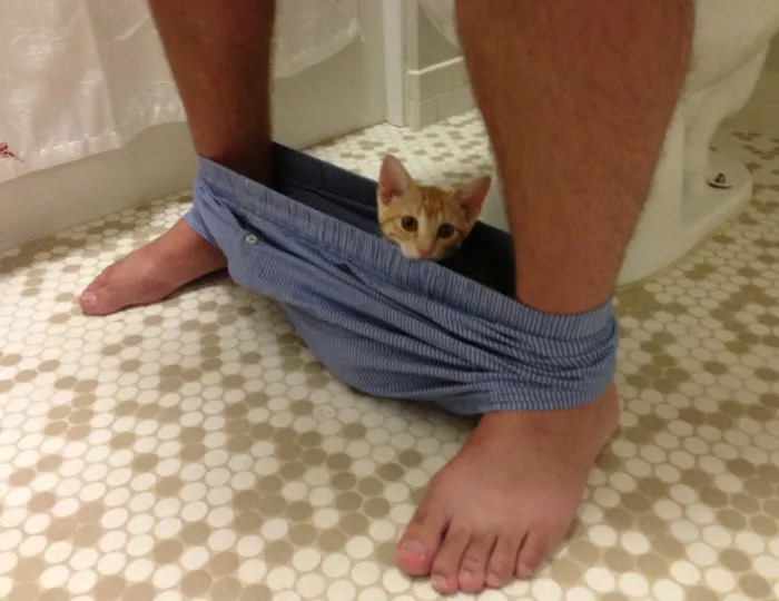 It's Become A Morning Routine
