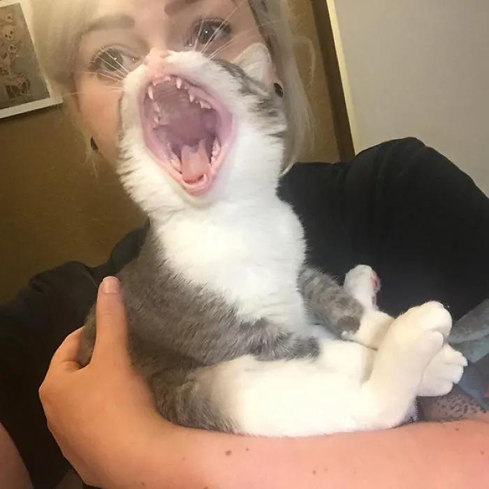 My Friend's Picture Initially Freaked Me Out