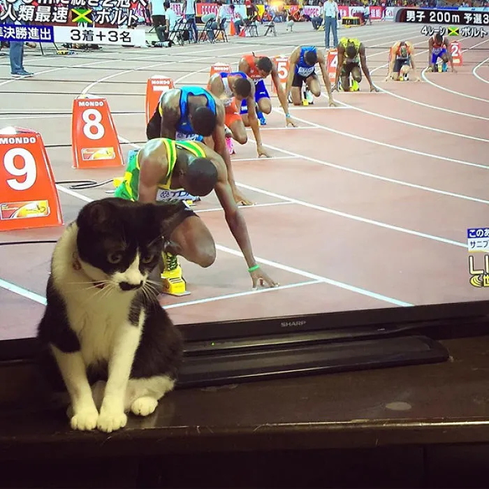 On Your Marks