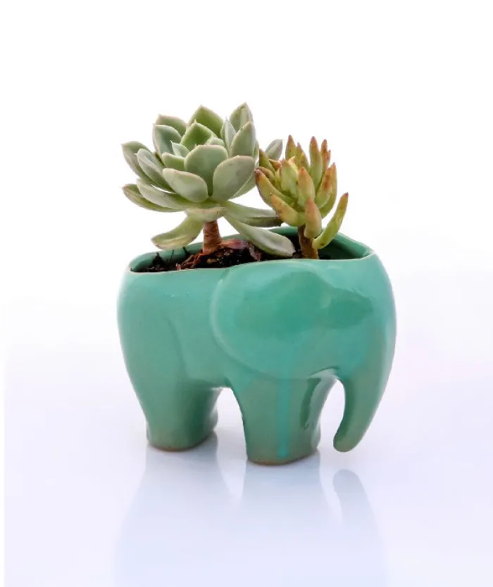 Elephant Planter