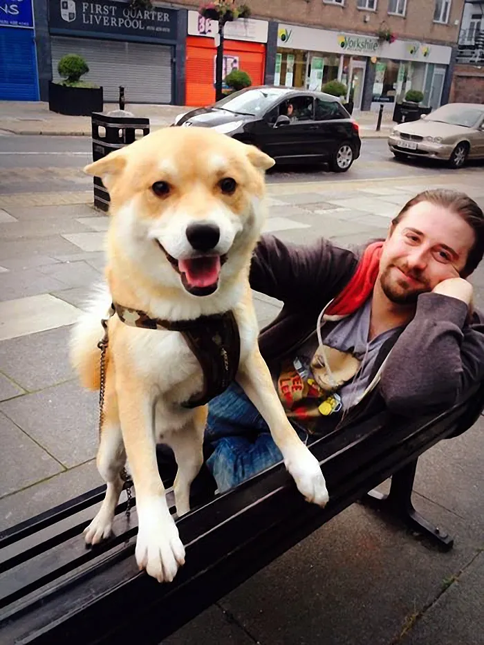 Charlie Bear Picking Up Hi Mum From Work.