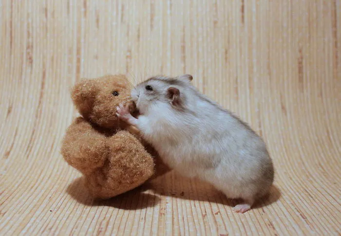 I Love You...^^