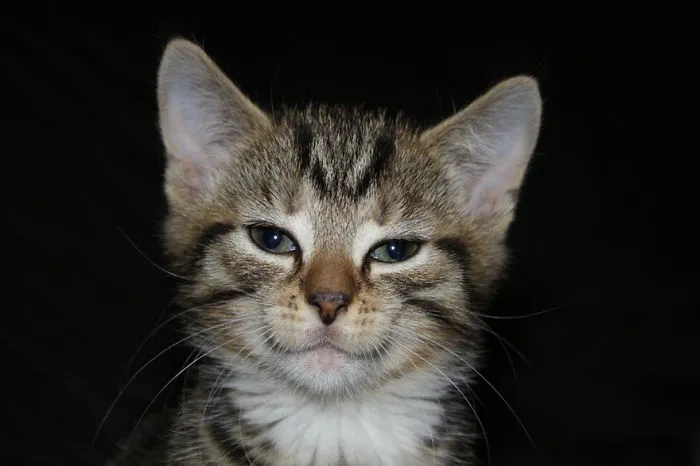 Smiling Smeagol