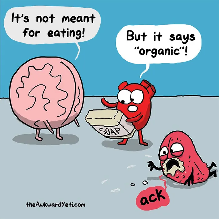 Heart Vs. Brain: Funny Webcomic Shows Constant Battle Between Our Intellect And Emotions