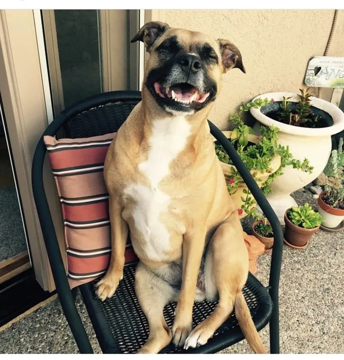 Laughter Is The Best Medicine