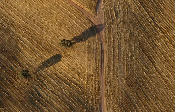 Field From A Balloon