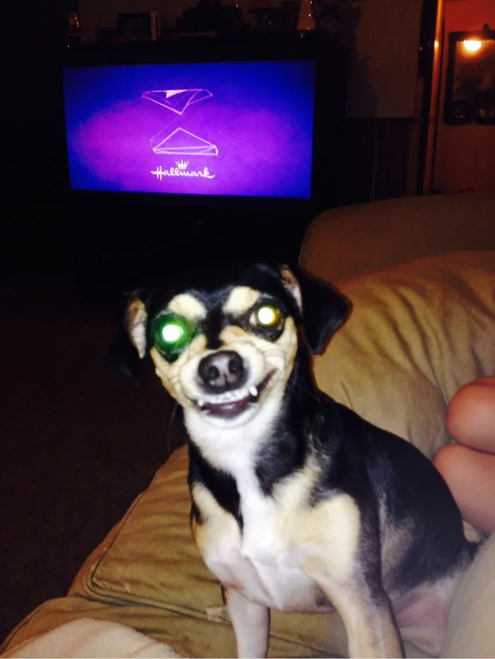 Say Cheese!!