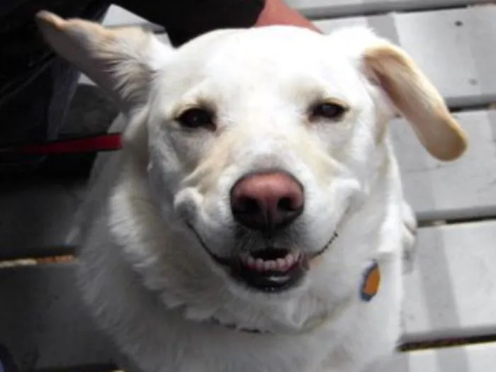 Smile!!!!