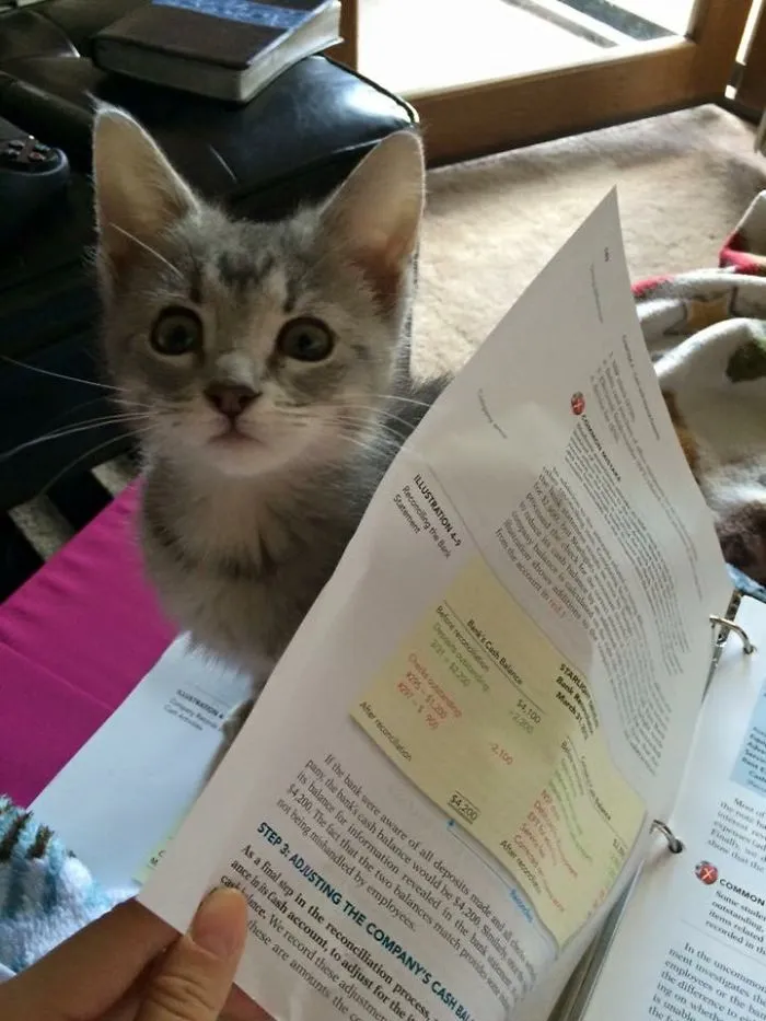 No Homework #2