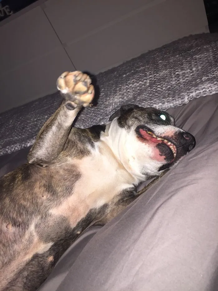 Cheeseeeeeeee!!!!