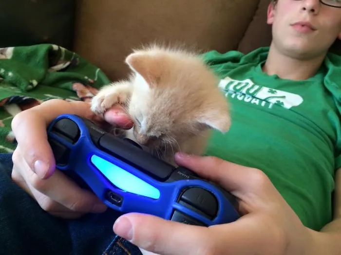 My Turn To Play