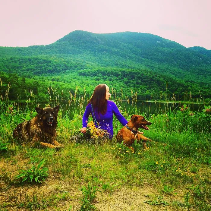 "Camping With Dogs" Instagram Will Inspire You To Go Hiking With Your Dog