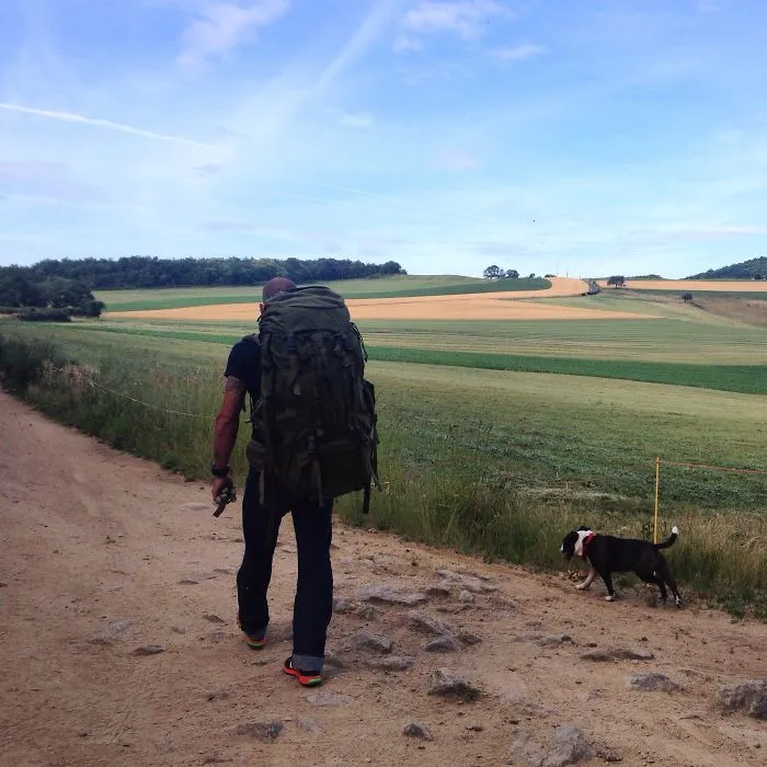 "Camping With Dogs" Instagram Will Inspire You To Go Hiking With Your Dog