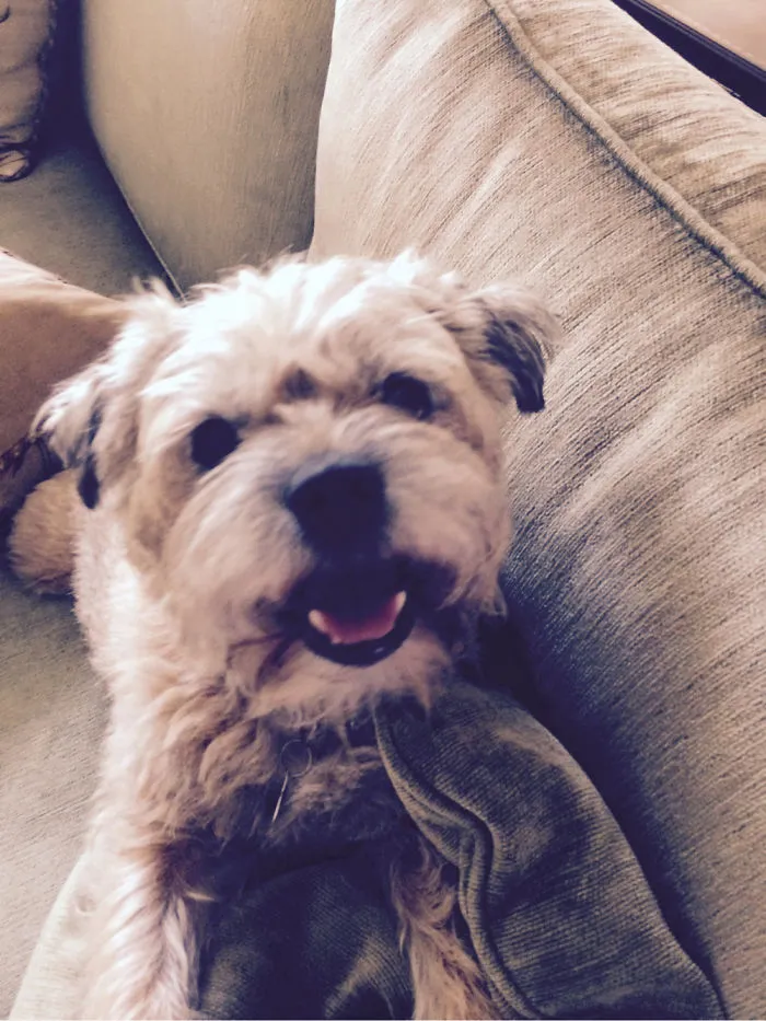 Toothy Smile