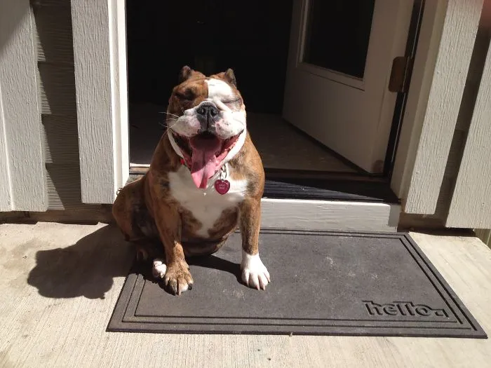 Lola Laughs