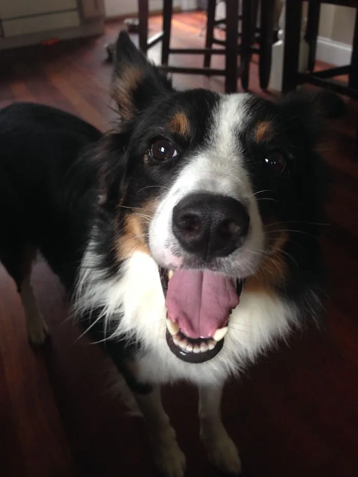 Big Smile!