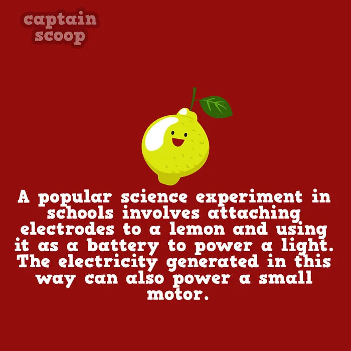 Zesty Science Hacks