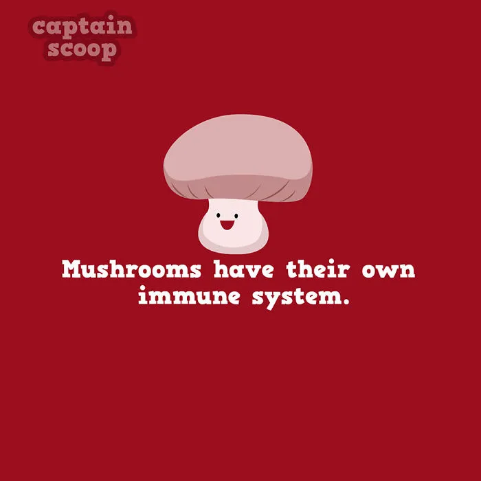 Fungi Fight Club