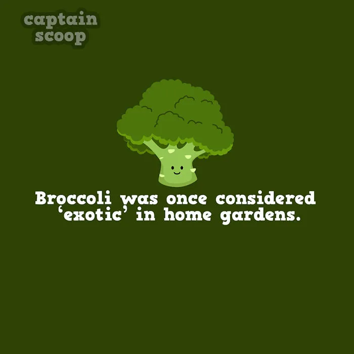 Garden Glory Days