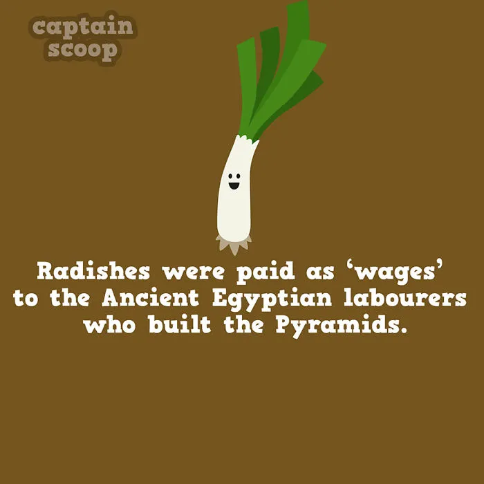 Veggie Paychecks