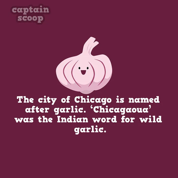 Garlic Origins Uncovered