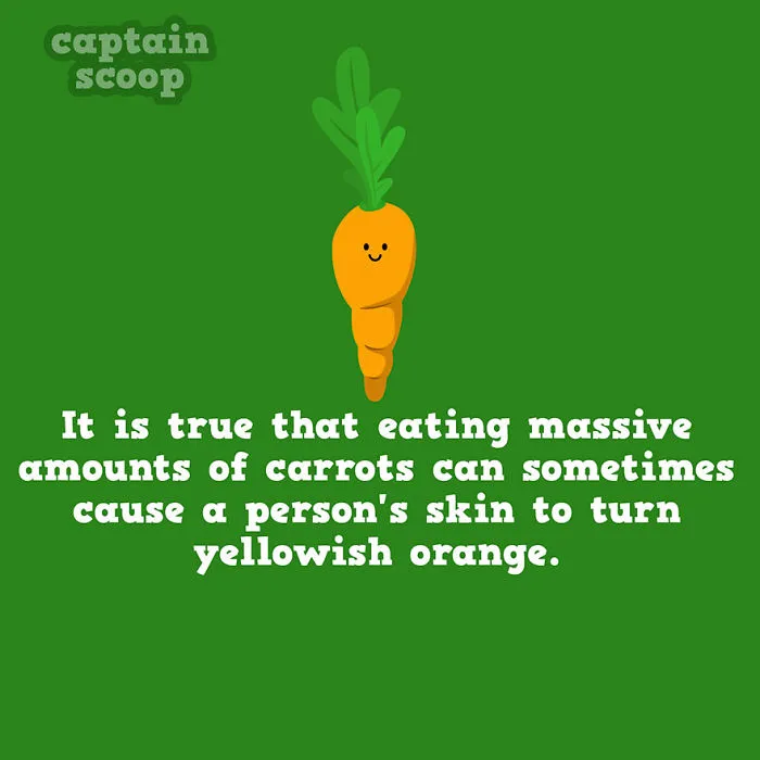 Carrot Overload Warning