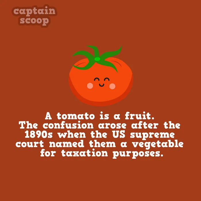 Fruit or Not?
