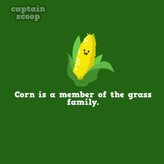 Grass Roots Facts