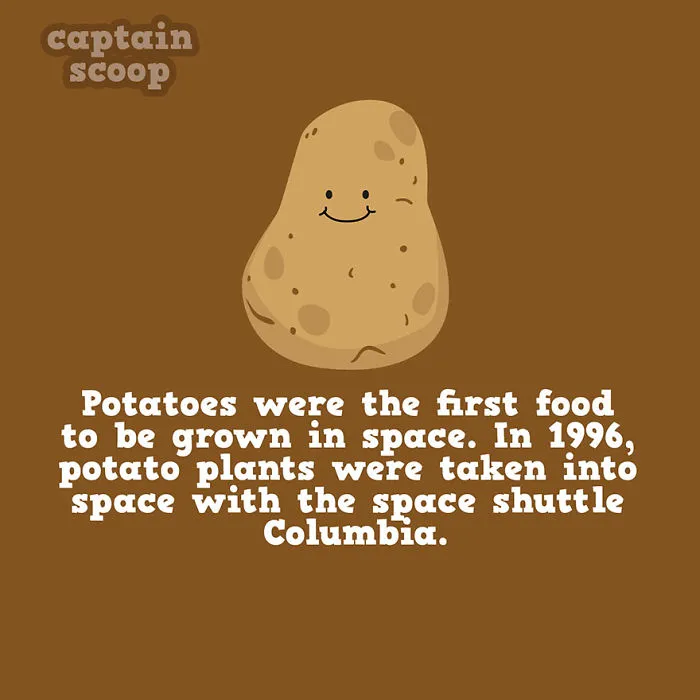Out of This World Eats