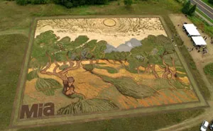 Artist Plants 1.2-Acre Field To Recreate Van Gogh’s 1889 Painting 'Olive Trees'
