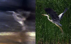 70 Things That Are Hilariously Similar To Each Other (Part 4)