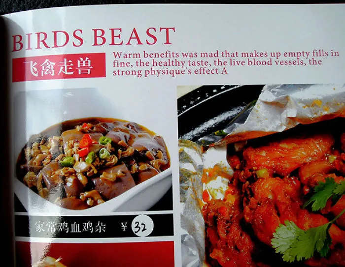 Birds Beast