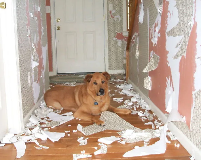 Welcome Home, How Was Your Day?