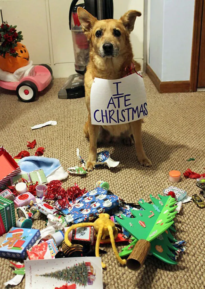 I Ate Christmas