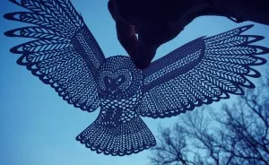 I Handcut Paper Animals And Use The Sky To Bring Them To Life