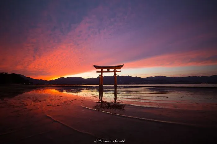 Shrine Floating On The Sea (itsukushima Shrine)