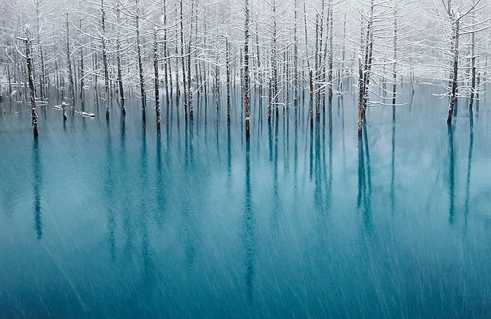 Blue Pond In Japan