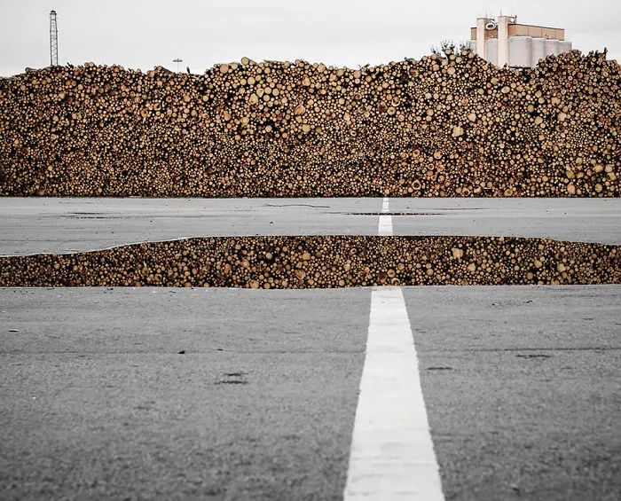 A Pile Of Timber Reflecting In A Puddle