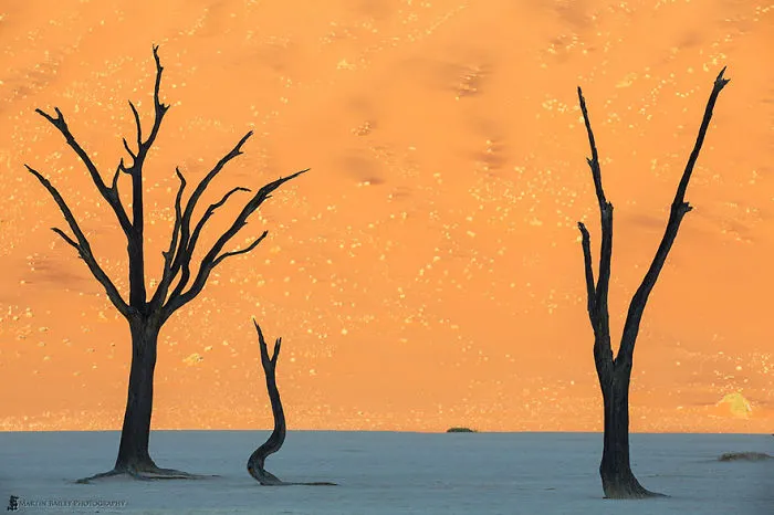 Sand Dunes In Namib Desert, Namibia