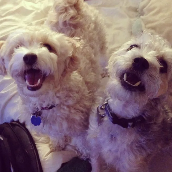 Happy That Mom And Dad Are Home!