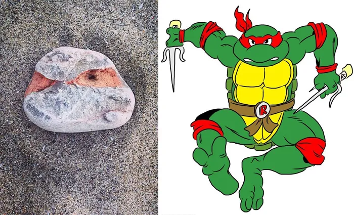 I Found A Rock That Looks Like Raphael