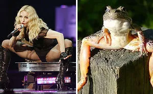 70 Things That Are Hilariously Similar To Each Other (Part 4)
