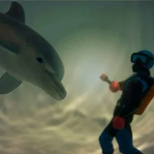 sharkdivermary