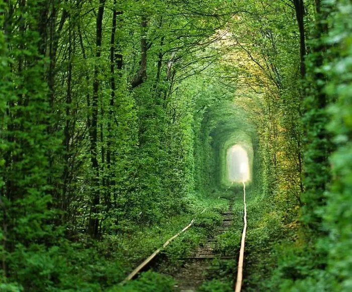 Tunnel Of Love, Klevan, Ukraine