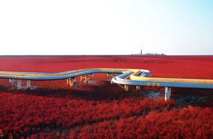 Red Beach, Panjin, China