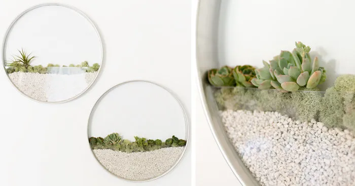 Vertical Garden Planters That Look Like Beautiful Wall Paintings