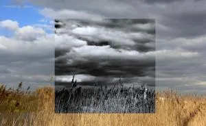 Window Series: I Capture Alternative Realities