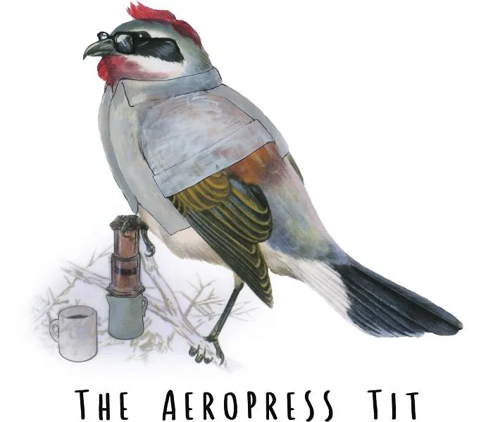 Hipsterbirds.com Celebrates Natures Less 'mainstream' Creatures...